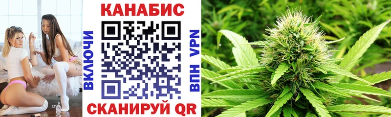 Где можно купить наркотики Шилка COCAIN  Alpha PVP  АМФЕТАМИН  ГАШИШ  Бошки Шишки 