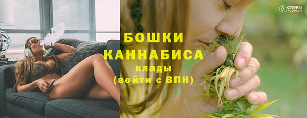 трава Аркадак