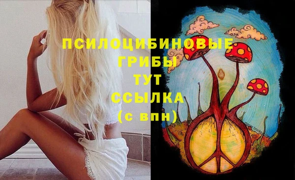 PSILOCYBIN Арсеньев